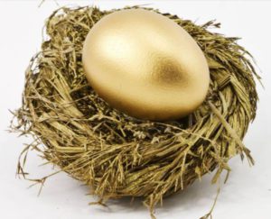 Nest Gold Egg